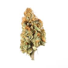 BLUE PLASMA THCA HEMP FLOWER